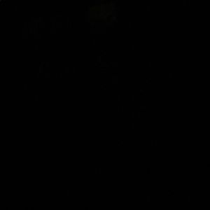 Meet your Posher, Nesrine